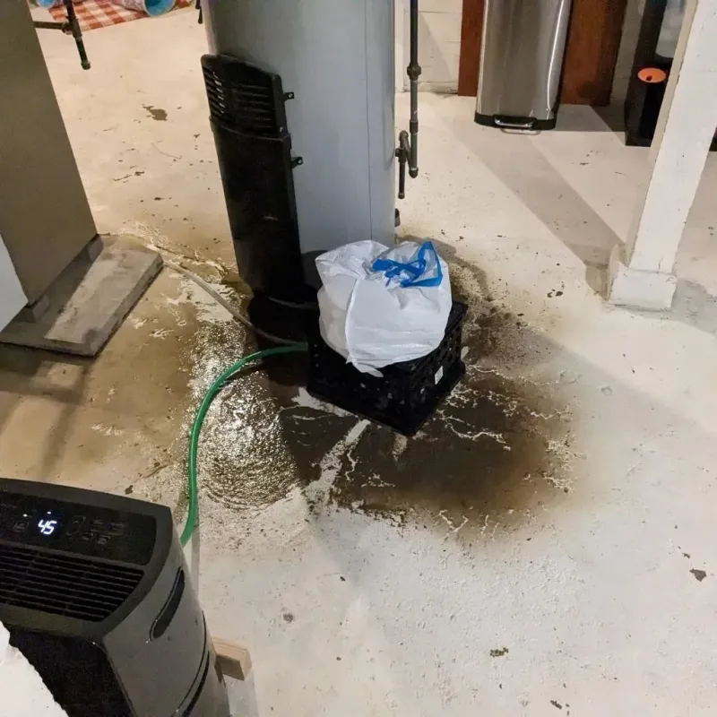 Sewage Backup Cleanup Service in Pocomoke City, MD